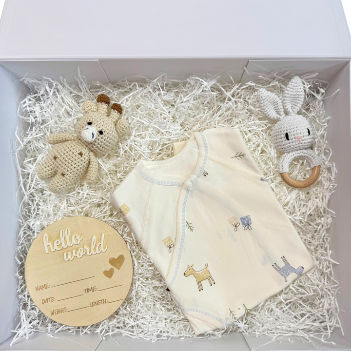 Unisex newborn gift set bundle